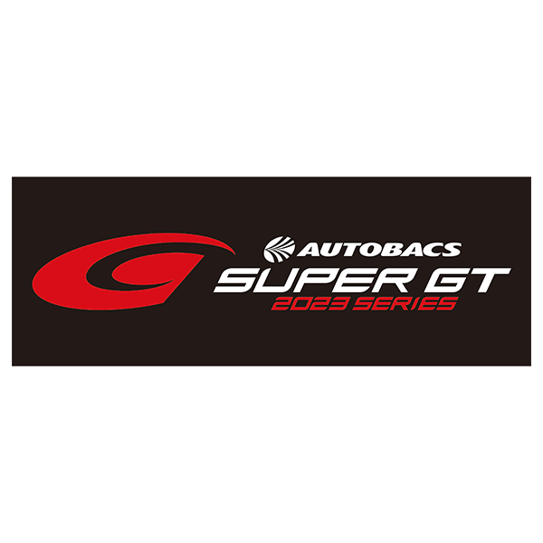 2023 シリーズロゴ スポーツタオル