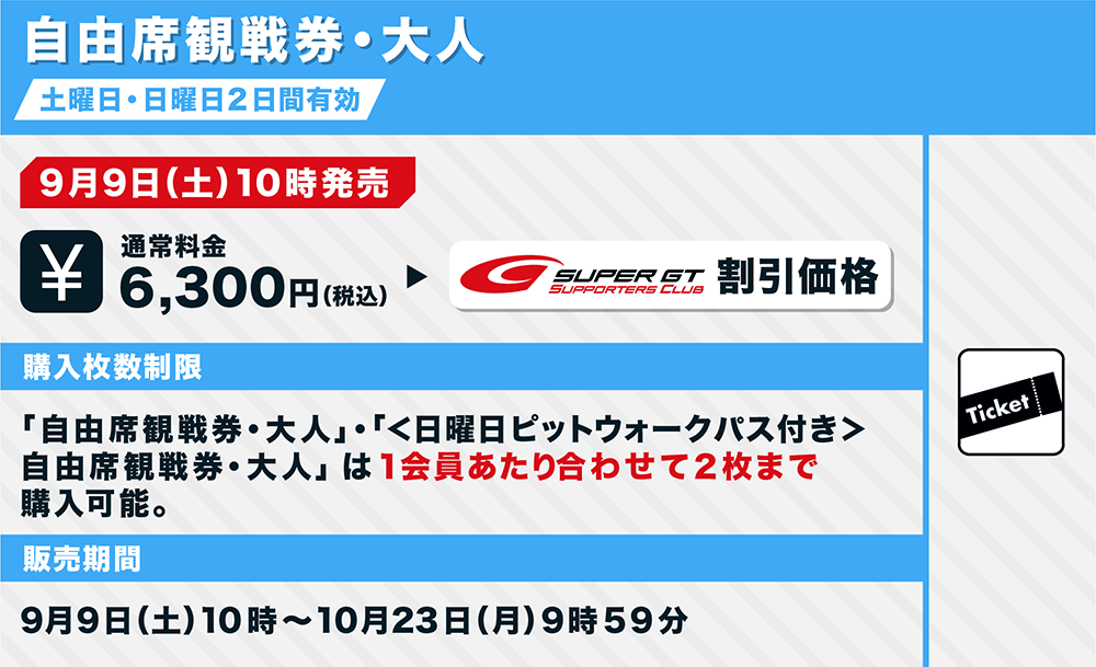 2023.11/4.5 Super GTもてぎ　V席ペア+駐車券枚数2枚駐車券1枚